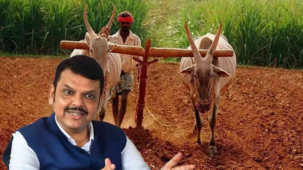 Namo Shetkari Yojana