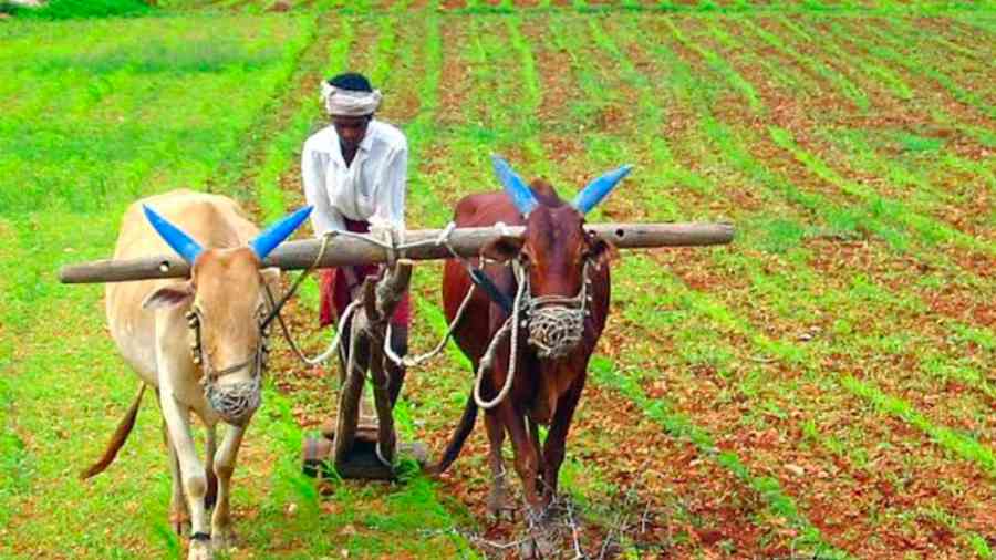Namo Shetkari Yojana