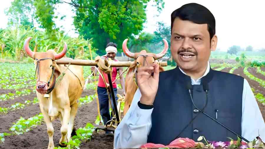 Shetkari Karjmafi Update 2025