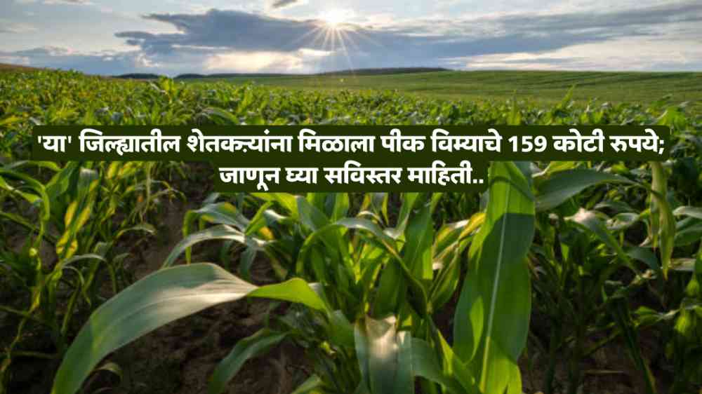 Crop Insurance Claim