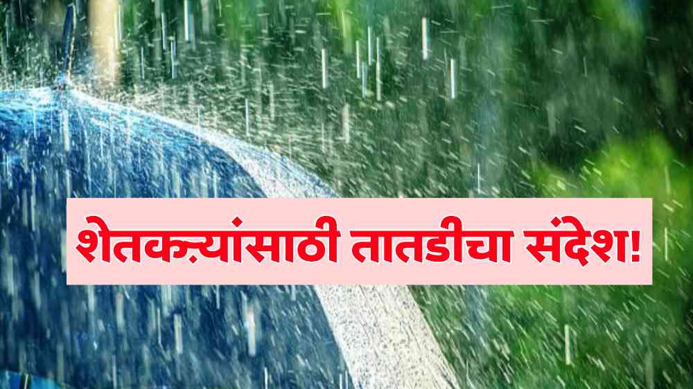 Maharashtra Weather Updates