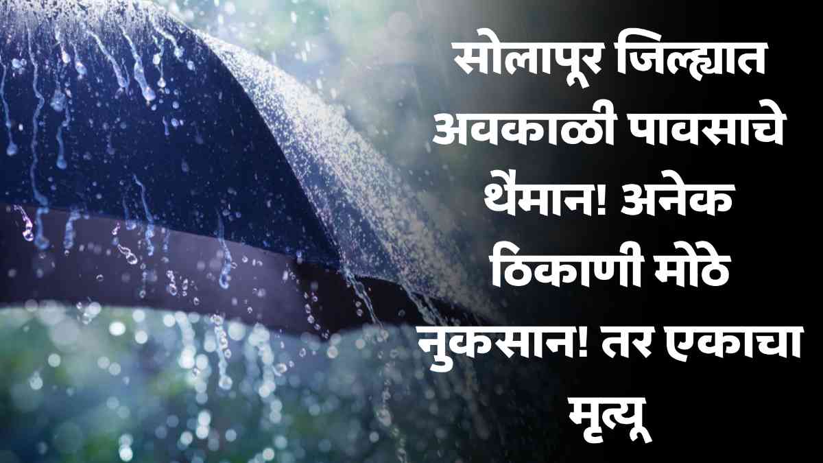 Solapur Unseasonal Rain