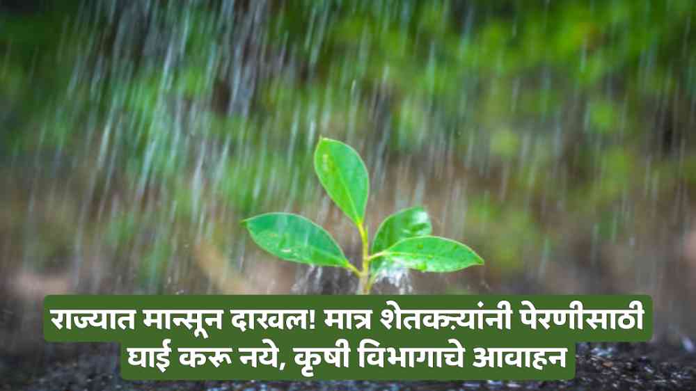 Monsoon Rain Forecast