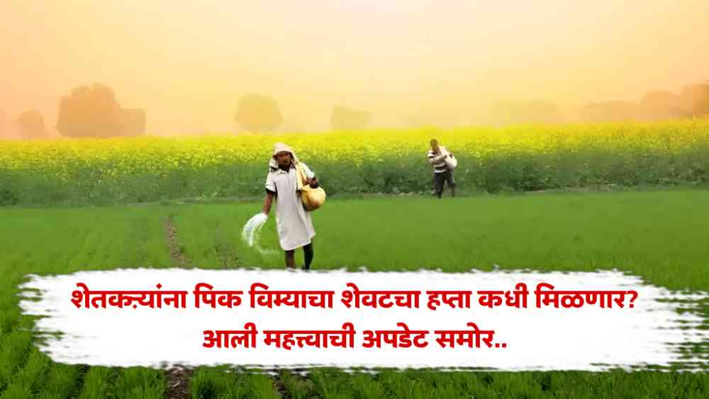 Crop Insurance Updates