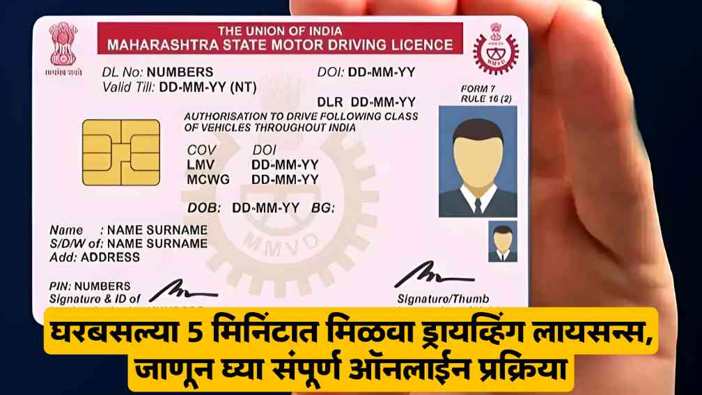 Driving Licence Online