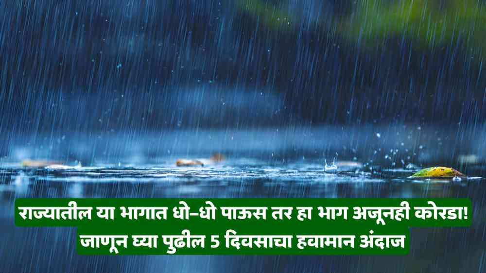 Monsoon Rain Update