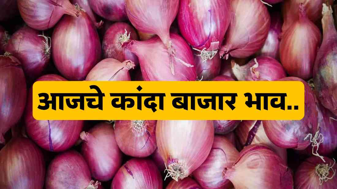 Onion Market Price