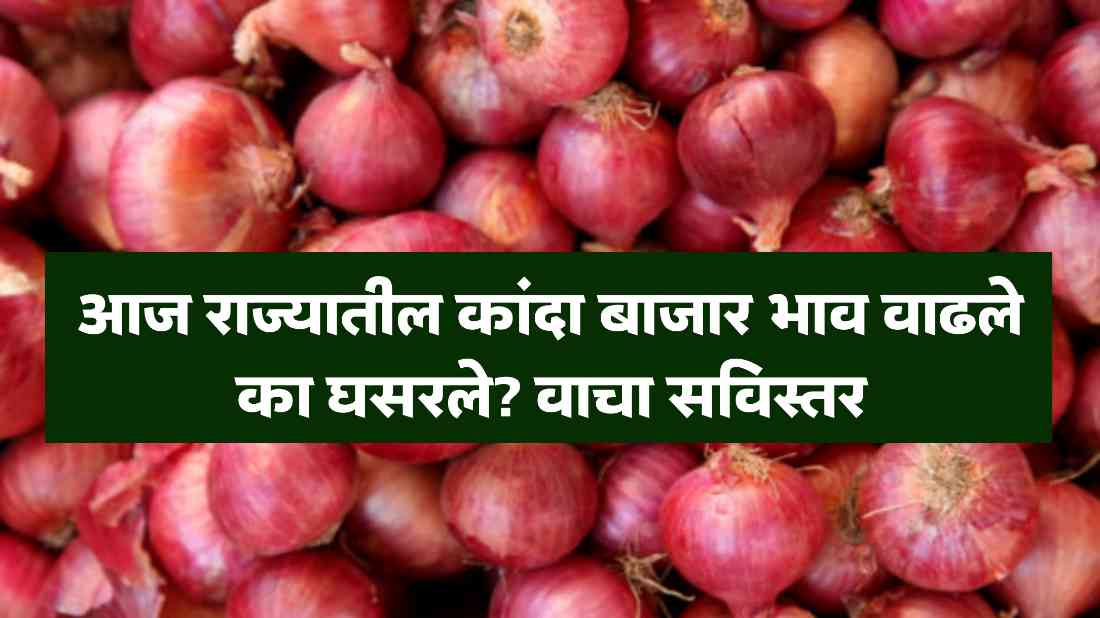 Onion Market Price