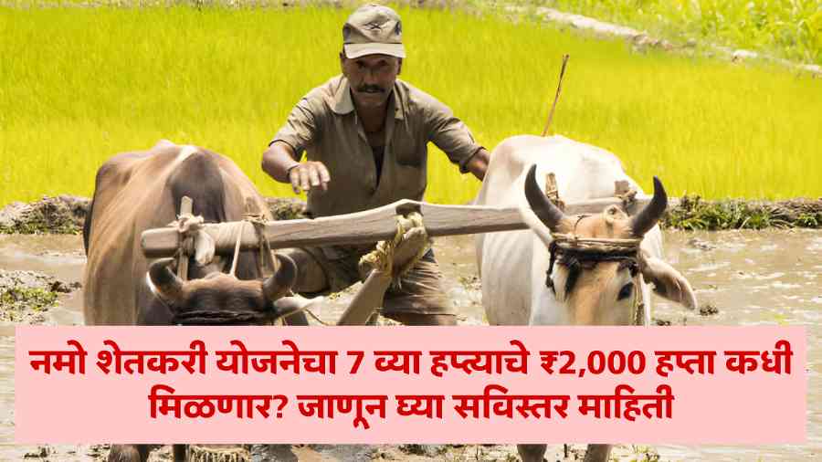 Namo Shetkari Yojana 7th Installment