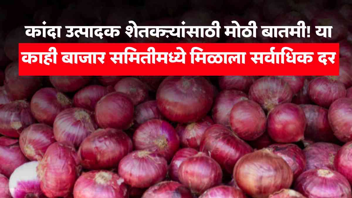 Onion Market Update