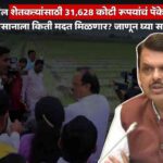 Government's relief package for farmers